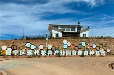 【案例故事】享譽世界的春城花都，世邦助力云南晉寧走出“芬芳”致富路